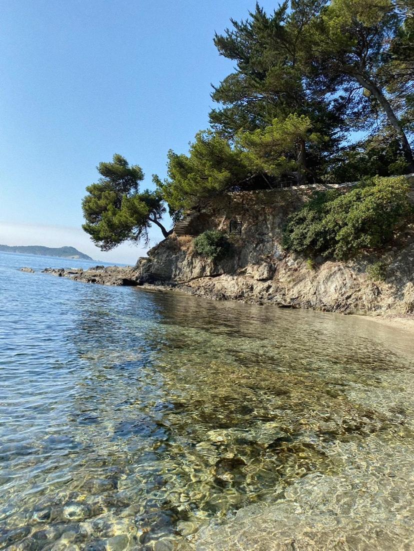 Haut de villa entre mer et campagne Hyères Extérieur photo